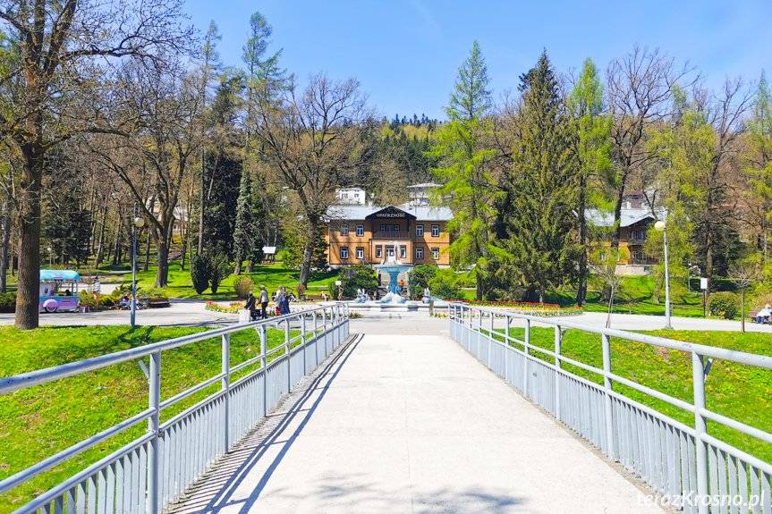 W sobotę pierwsze kursy "letniego autobusu"