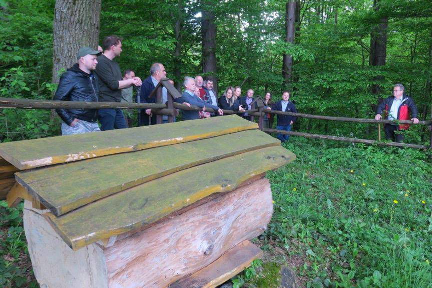 W "lesie pszczelarskim" świętowali Dzień Pszczół