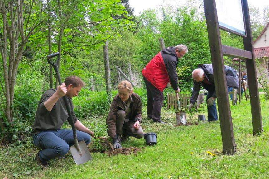 W "lesie pszczelarskim" świętowali Dzień Pszczół