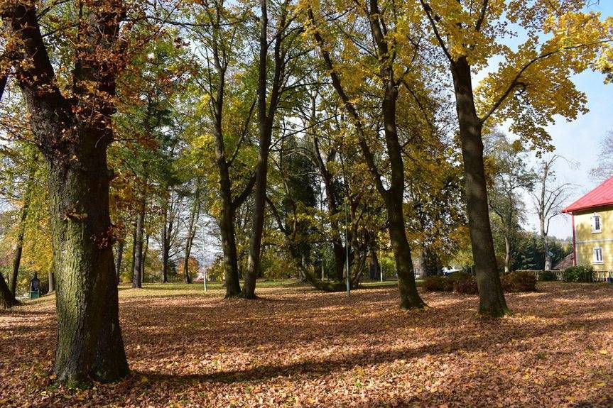 W Łękach Strzyżowskich powstanie Dom Seniora