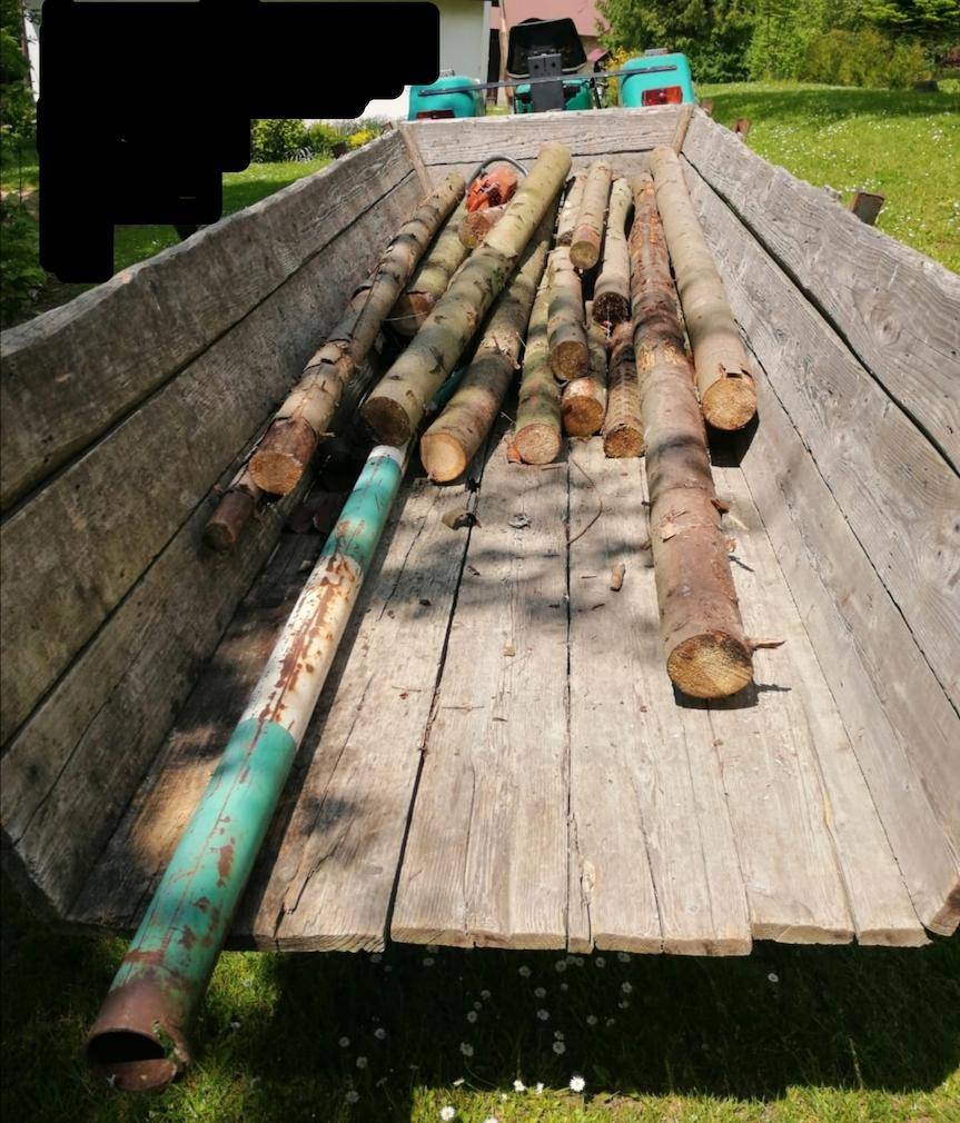 Kradli drewno z lasu. Zostali złapani