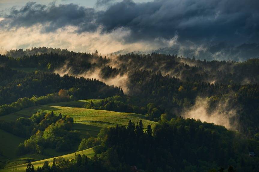Z punktu widzenia... spotkanie online z Szymonem Muszańskim