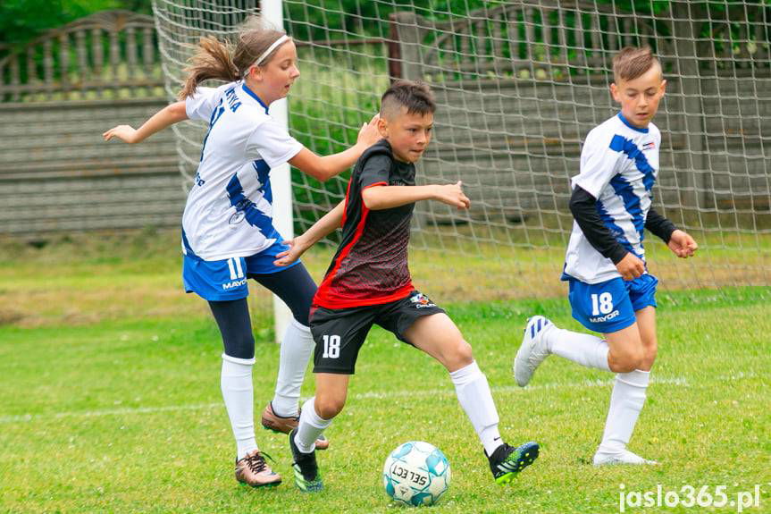Beniaminek PROFBUD Krosno zwycięzcą turnieju w Nowym Żmigrodzie 