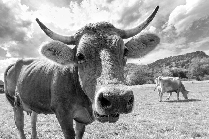 Tajemnicza śmierć w Chyrowej. Znamy wyniki sekcji zwłok