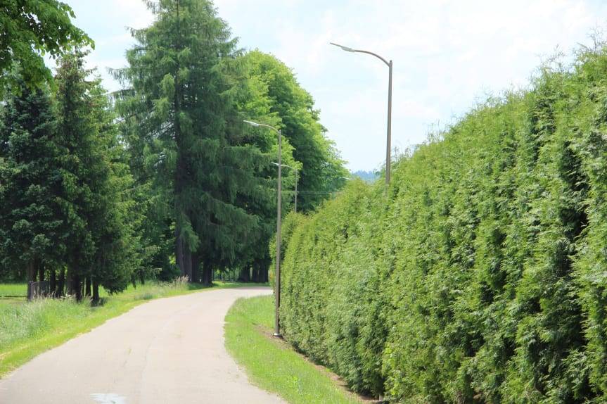 Nowe oświetlenie w Moderówce i Żarnowcu