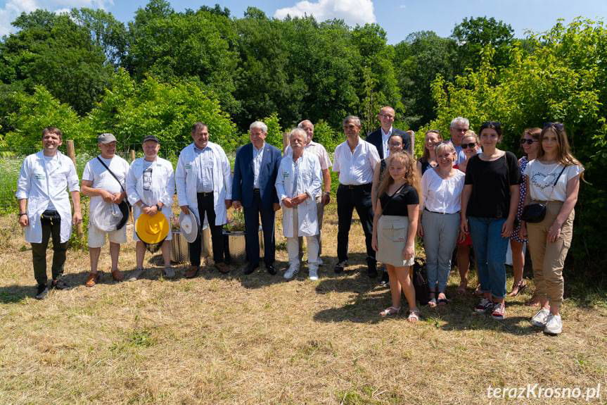 Pszczoły zamieszkały w miejskiej pasiece 