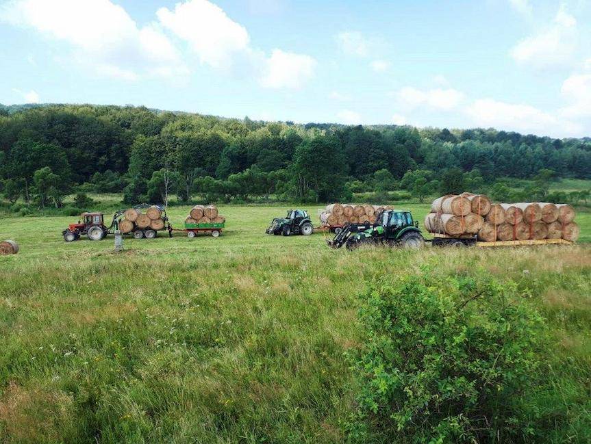 REGION. Trwają leśne sianokosy