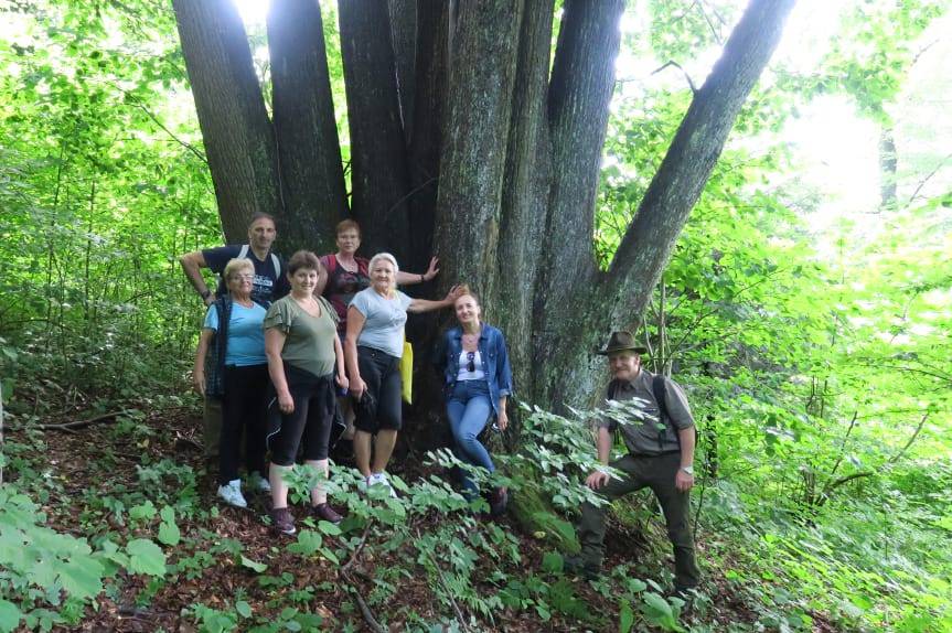 Spacer z leśnikiem po iwonickim lesie