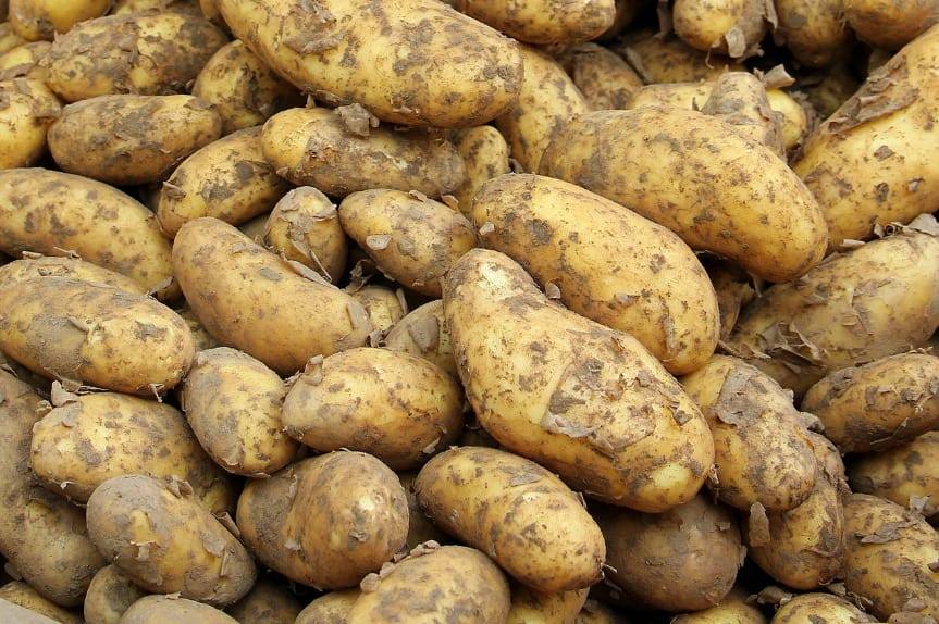 REGION. Okradł starsze małżeństwo mówiąc, że handluje ziemniakami