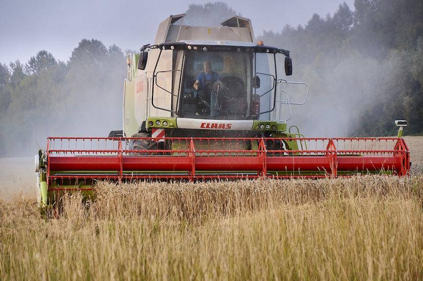 Kombajnista na drodze. O tym trzeba pamiętać w trakcie żniw!