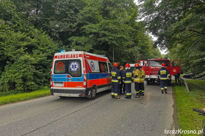 Dziewczynka na rolkach potrącona w Potoku