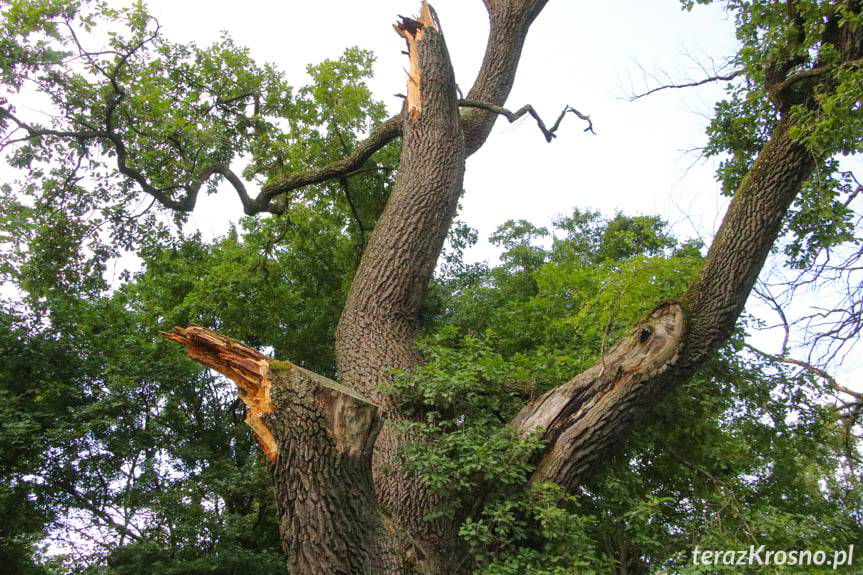 Czy uda się uratować Aleksandra z Krościenka Wyżnego?