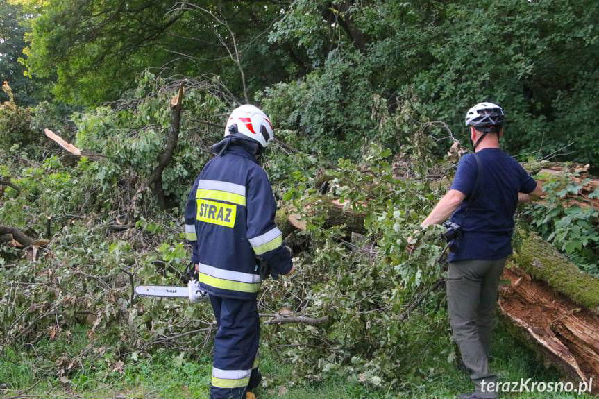 Czy uda się uratować Aleksandra z Krościenka Wyżnego?