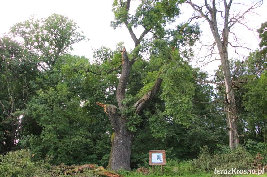 Czy uda się uratować Aleksandra z Krościenka Wyżnego?
