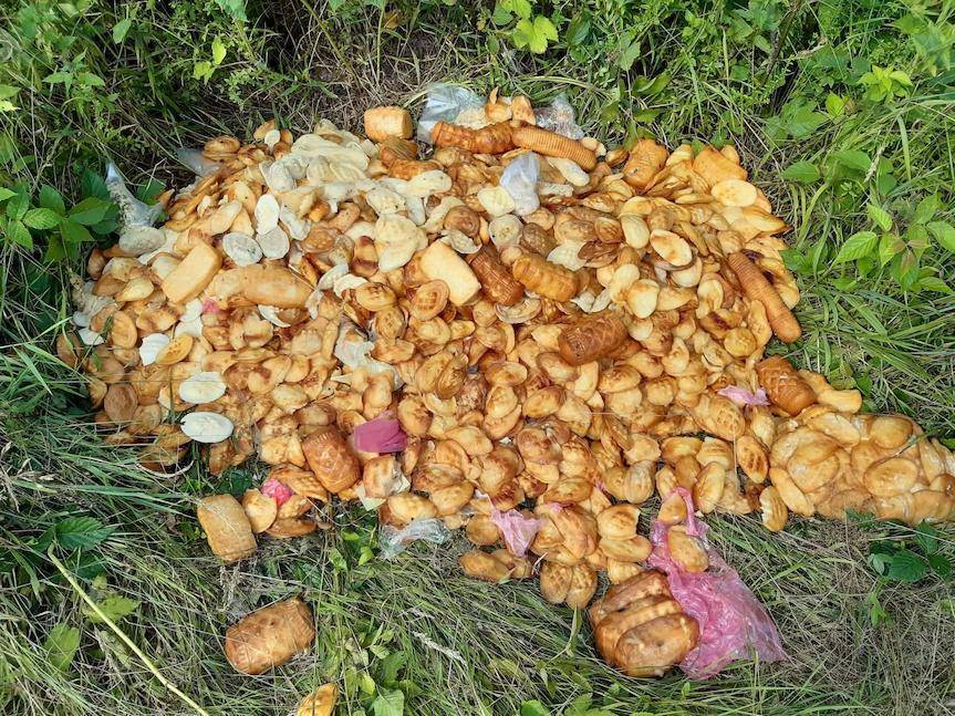 REGION. Zepsute serki oscypki w lesie