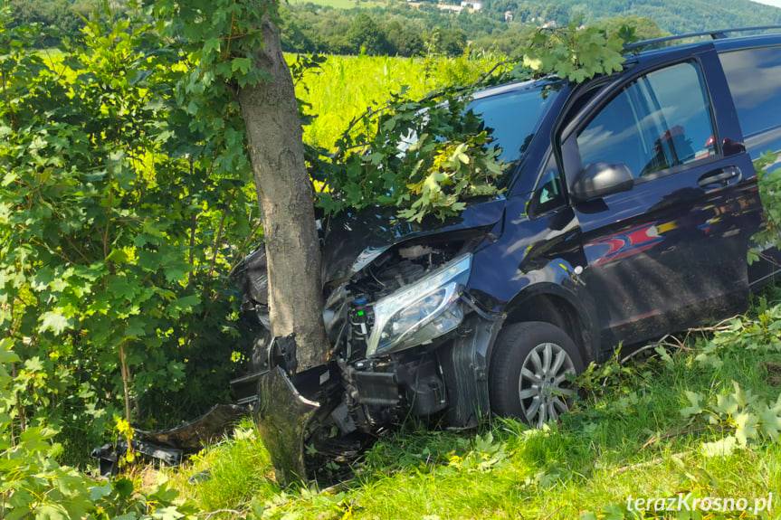 Uderzyła mercedesem w drzewo