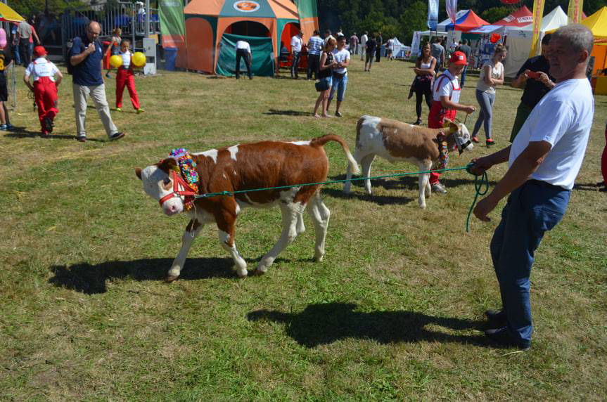 W Krośnie i powiecie krośnieńskim