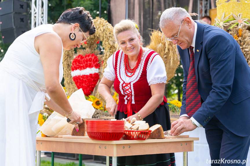 Dożynki gminne w Łężanach 