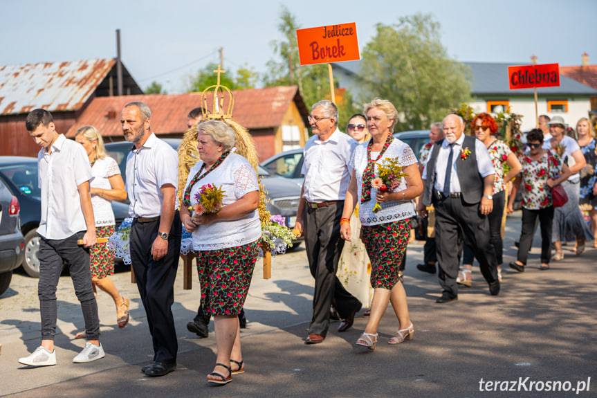 Dożynki Gminy Jedlicze 