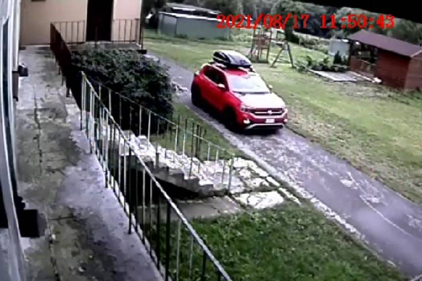 Rozjechany pies w Zawadce Rymanowskiej [FILM]