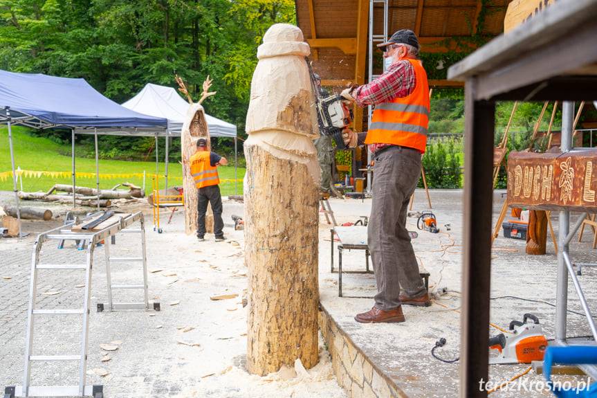 W Iwoniczu-Zdroju rzeźbią Ducha Lasu [FILM]