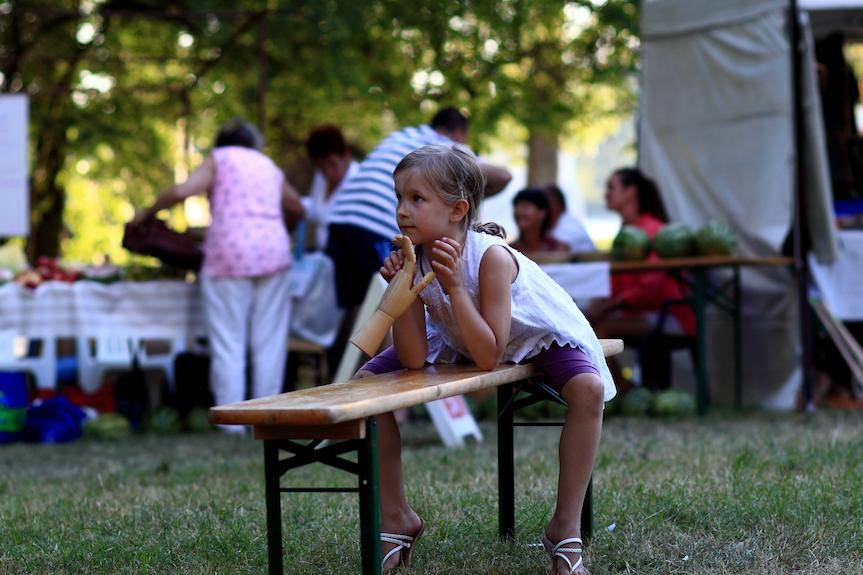 Piknik charytatywny w Krośnie odwołany