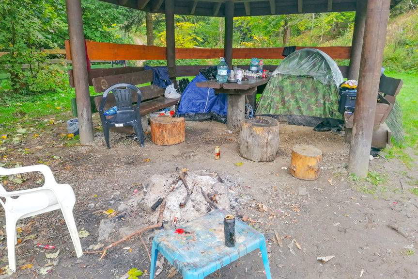 Posypały się mandaty dla grzybiarzy z Rumunii