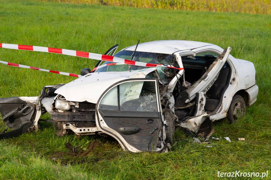 Hyundai uderzył w drzewo w Równem