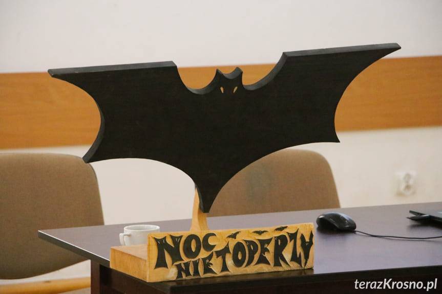 W powiece krośnieńskim mają powstać wieże dla nietoperzy