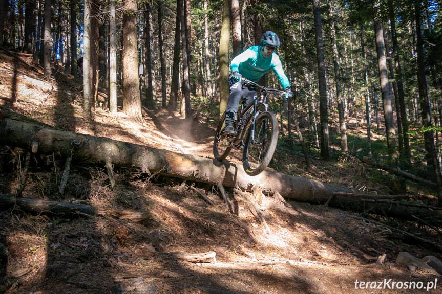 Leśne trasy rowerowe w Czarnorzekach