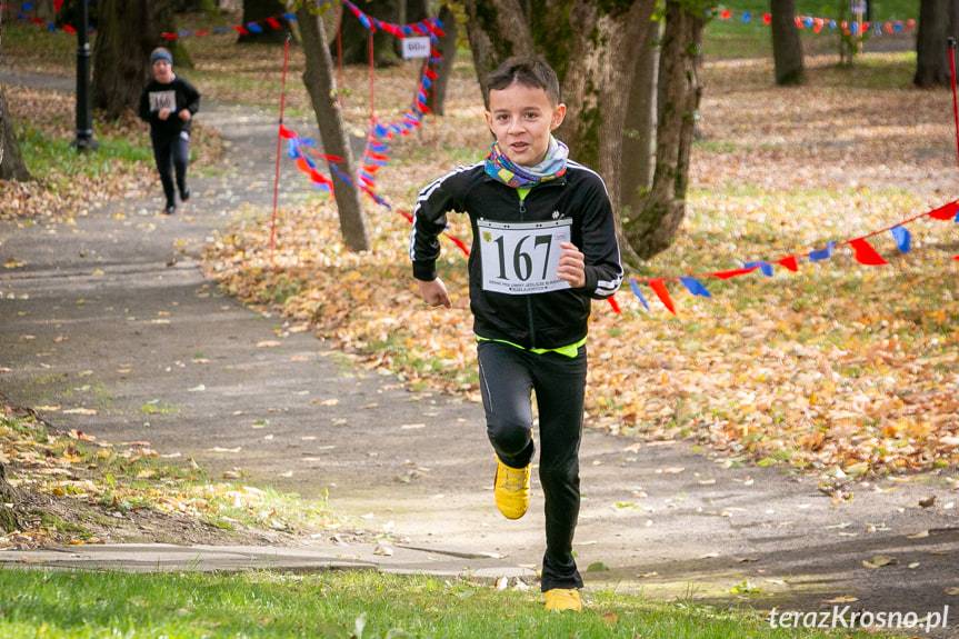 Jesienne Biegi Niepodległościowe w Jedliczu