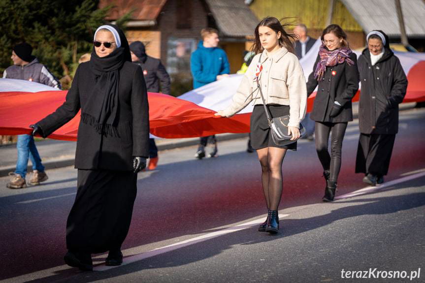 Marsz Niepodległości "Połączeni Flagą" w Miejscu Piastowym