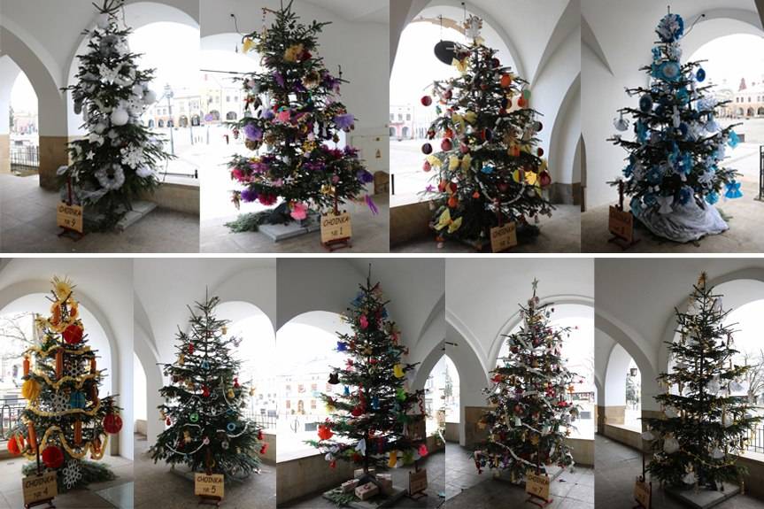 Która choinka najpiękniejsza?