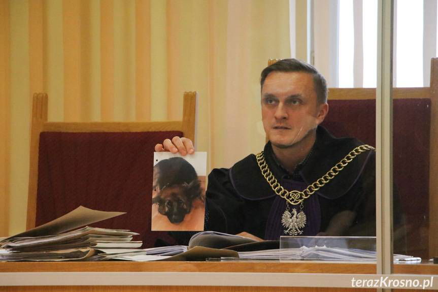 Proces o znęcanie się nad psem. Co powiedziała biegła weterynarz?