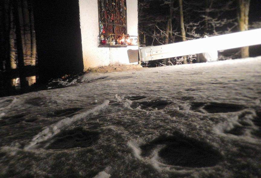 Nie wszystkie misie poszły spać. Leśnicy ostrzegają