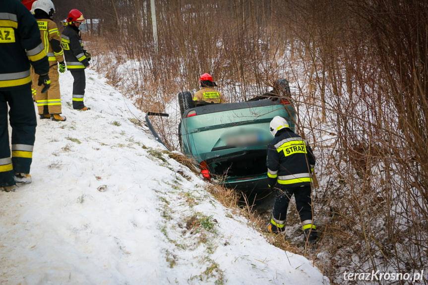 Dachowanie forda w Rogach