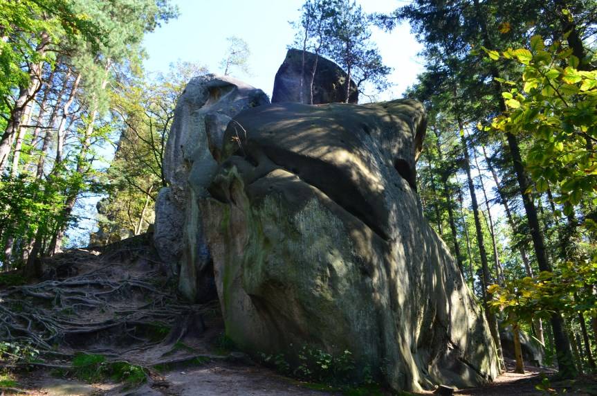 Muzeum w Bóbrce i rezerwat Prządki wśród TOP atrakcji Podkarpacia