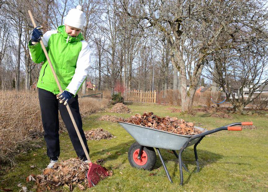 Krosno. Miasto odbierze bioodpady zielone i odpady wielkogabarytowe
