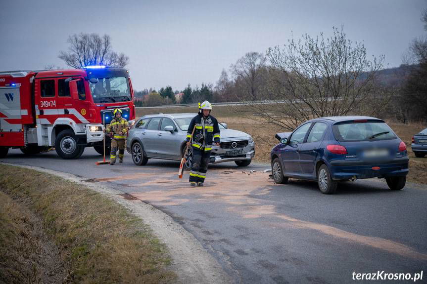 Czołowe zderzenie volvo i peugeota w Rogach