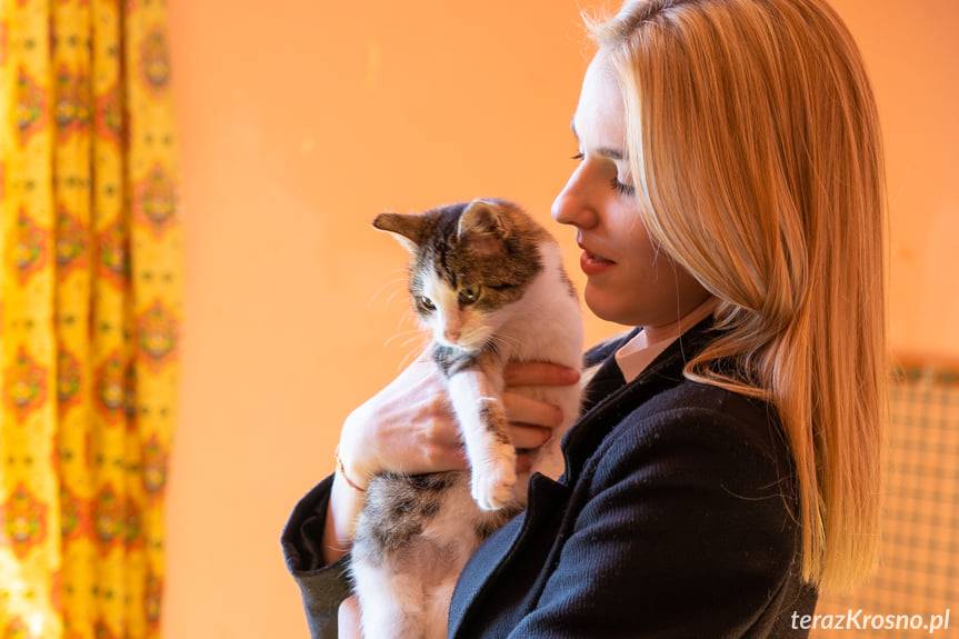 Projekt "Przyjaciele zwierząt" w Krośnie