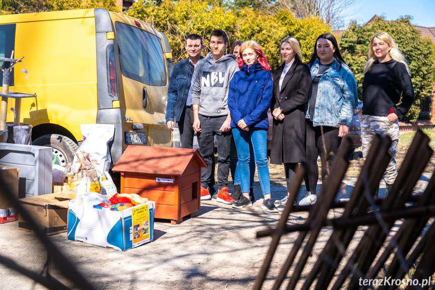 Projekt "Przyjaciele zwierząt" w Krośnie