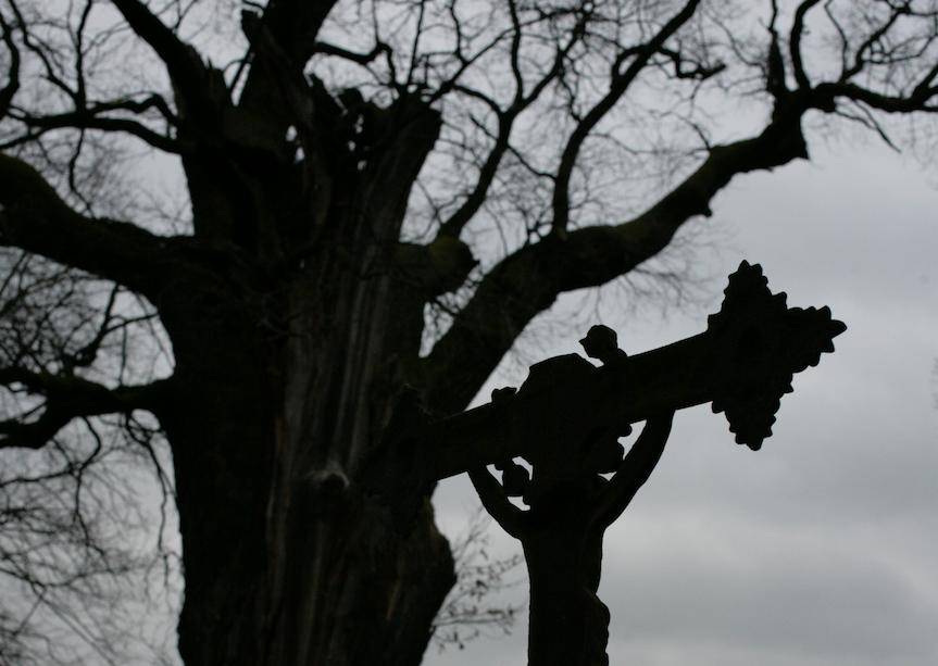 Galicyjskie Gorzkie żale. Stypendium dla Krośnianina