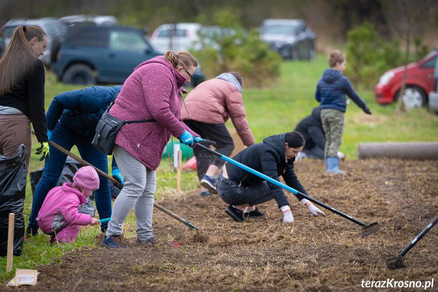 "Krosno Wiosną". Sprzątali i sadzili