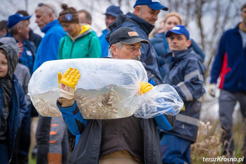 "Krosno Wiosną". Sprzątali i sadzili