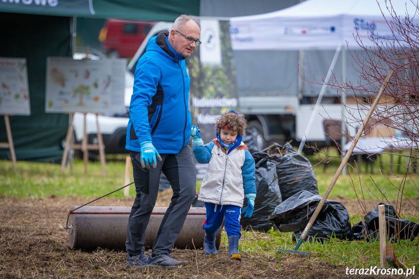 "Krosno Wiosną". Sprzątali i sadzili