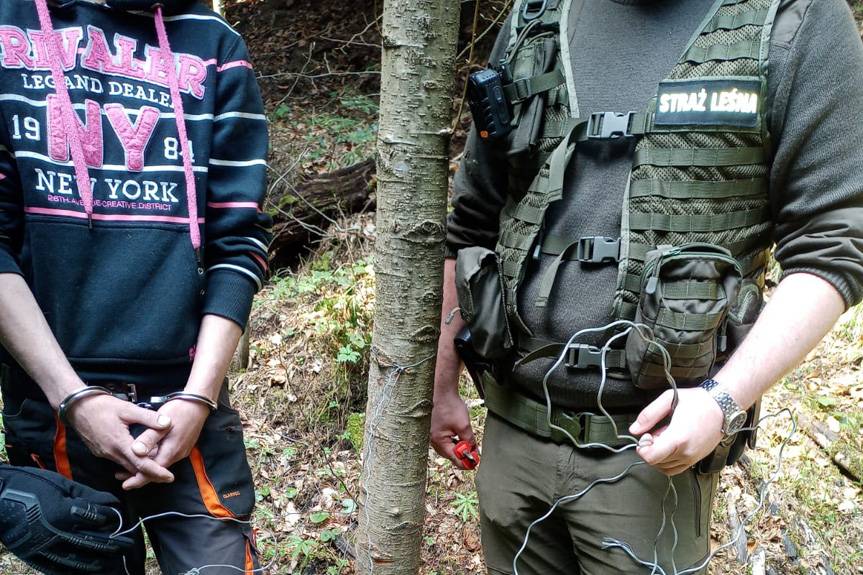 Wnykarz spod Dynowa złapany