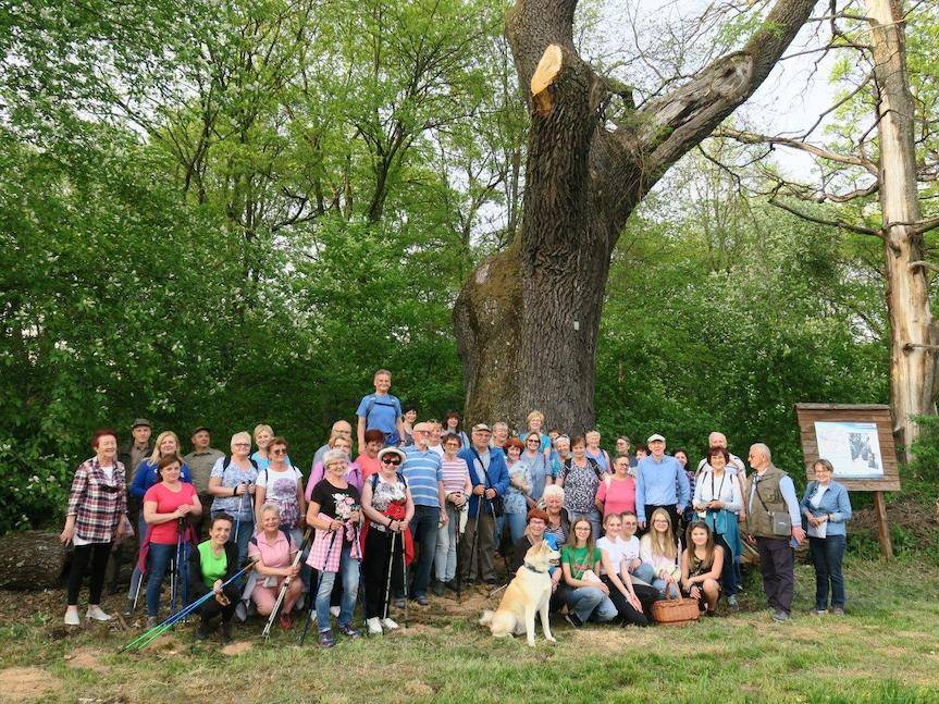Święto Niezapominajki w Krościenku Wyżnym