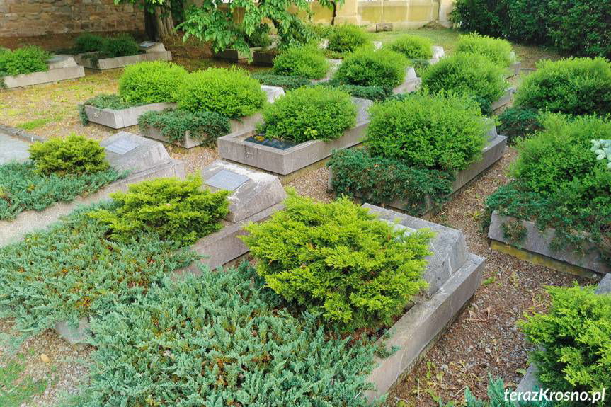 Chcą przeniesienia cmentarza żołnierzy Armii Czerwonej w Krośnie