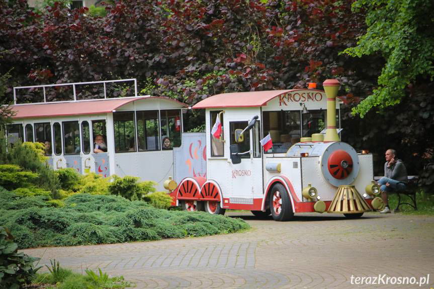 Piknik w Parku Jordanowskim w Krośnie