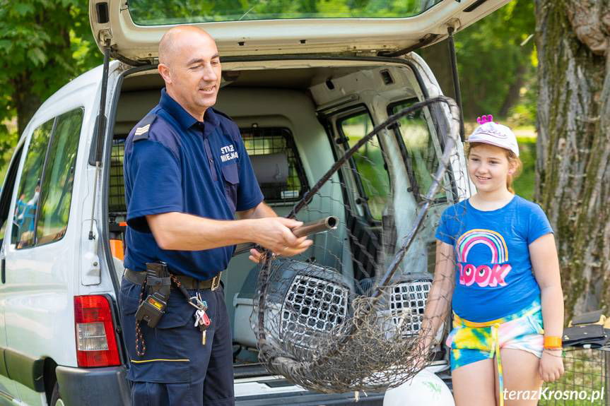 Bezpiecznie podczas wakacji. Piknik edukacyjny w Krośnie